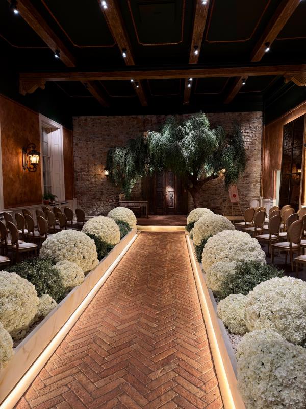 Photo by Stephen Williams